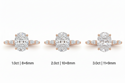 טבעת אורה רויאל