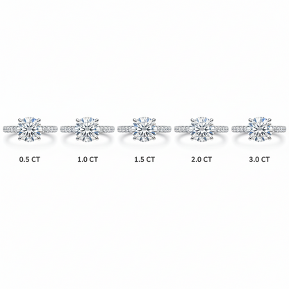 טבעת סול נובה